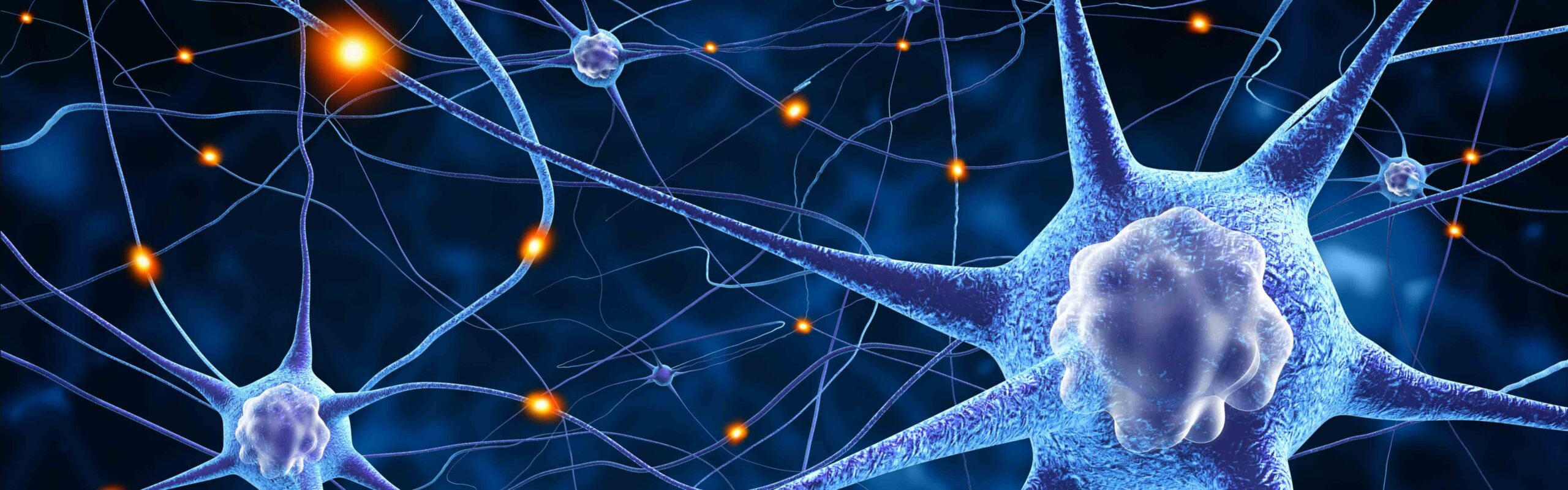 Bio Stimolazione elettroceutica